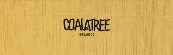 COALATREE introduces Spring