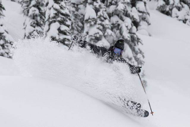 Parker White - Photo courtesy of 686