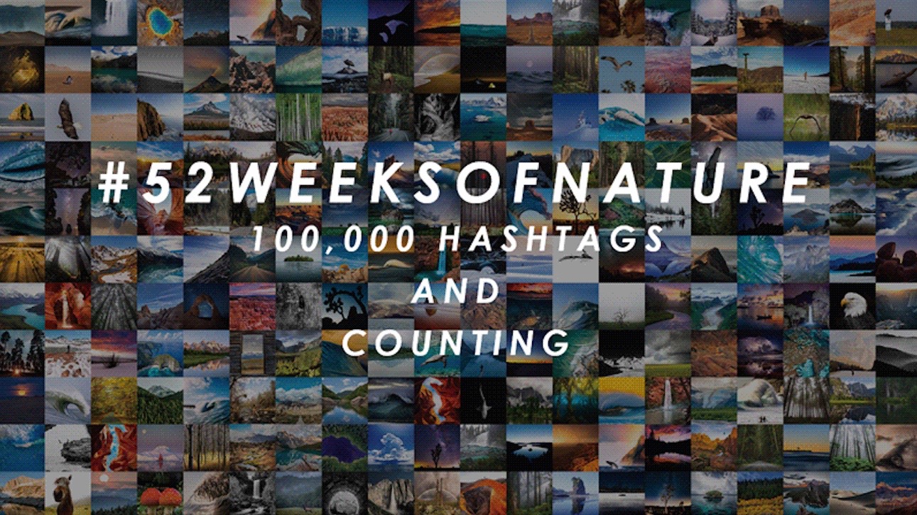 HT 52weeksofnature 11