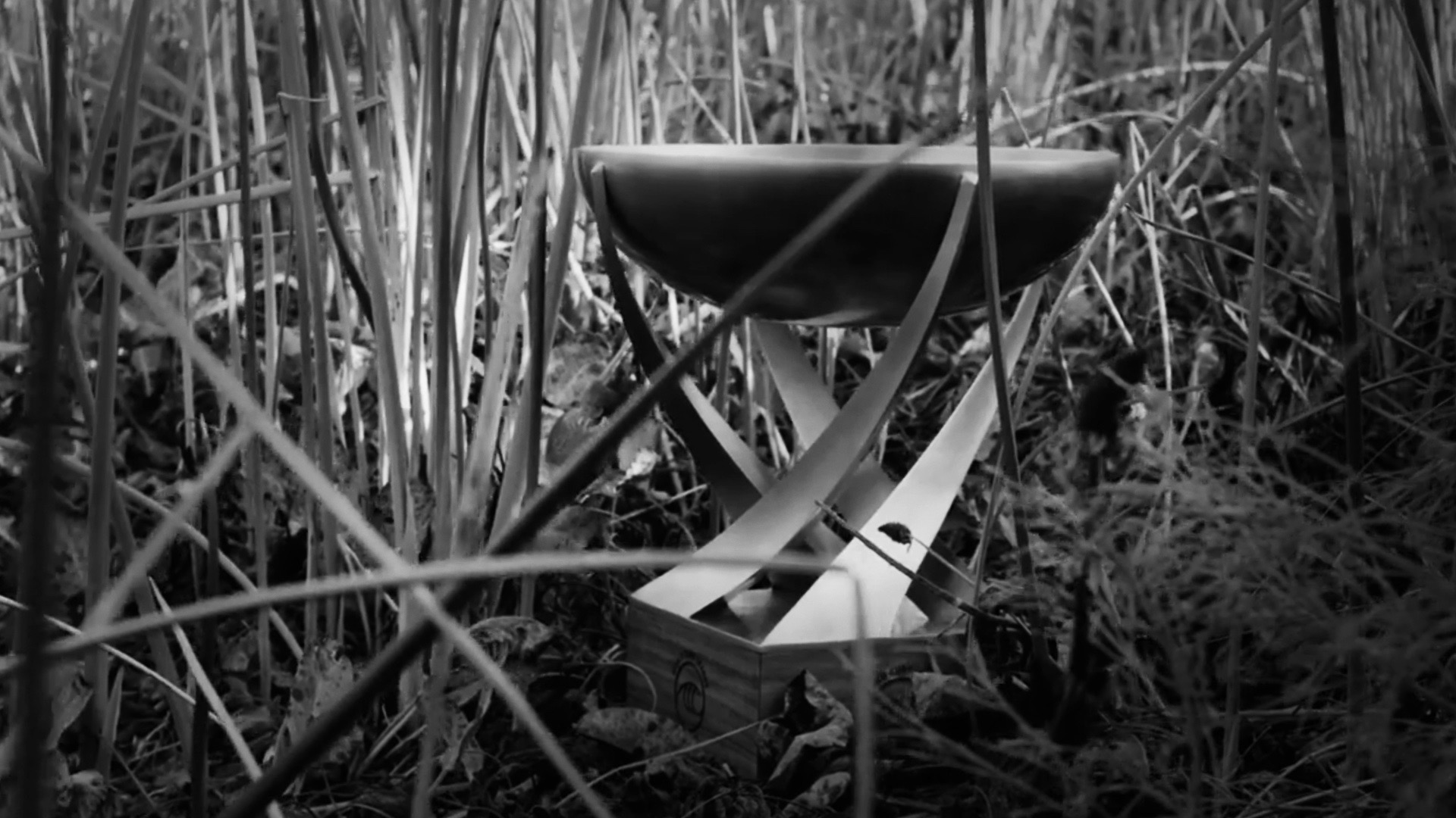 BW CT Trophy Reeds Hero 3