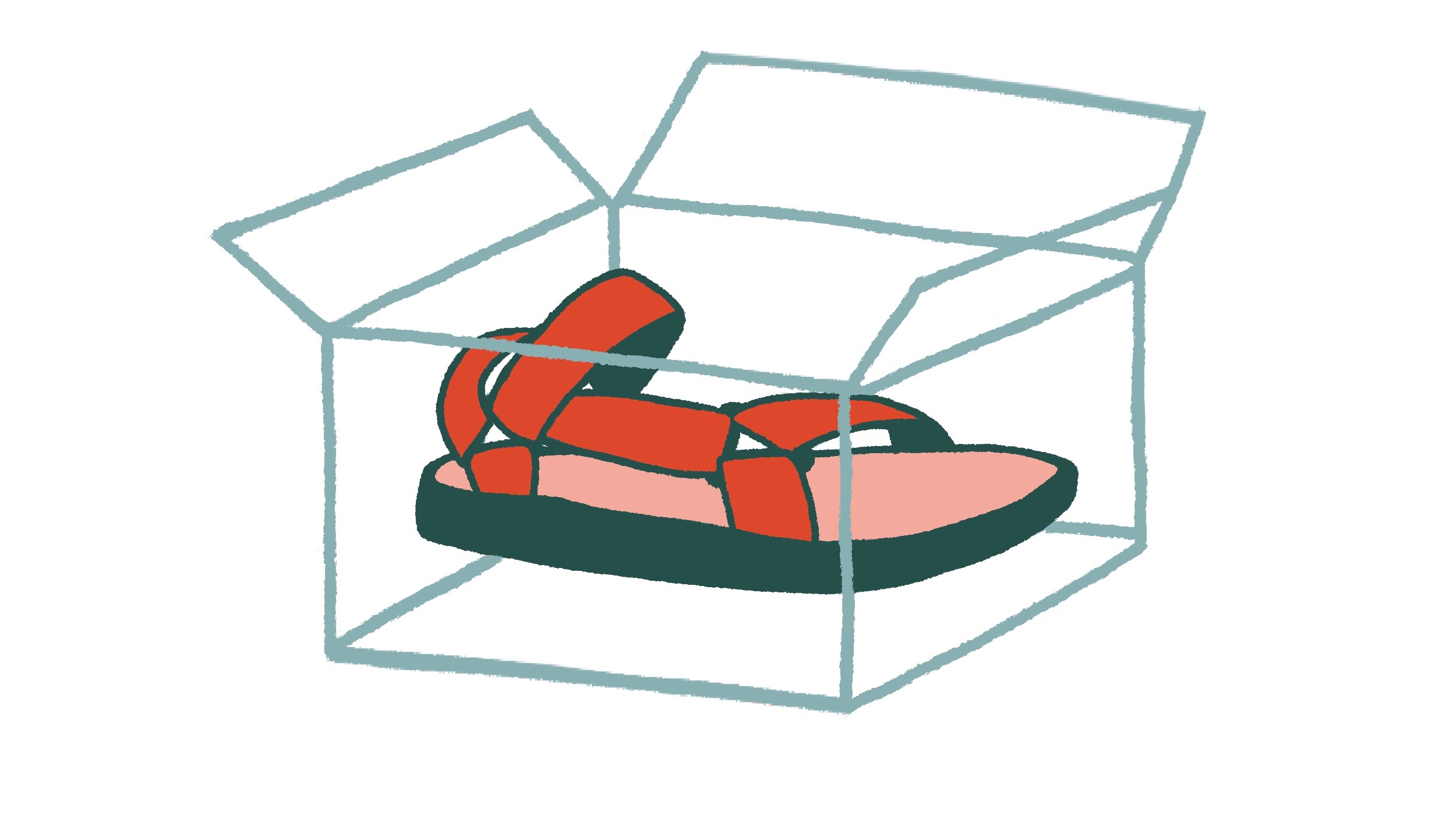 TevaForever ShoeinBox