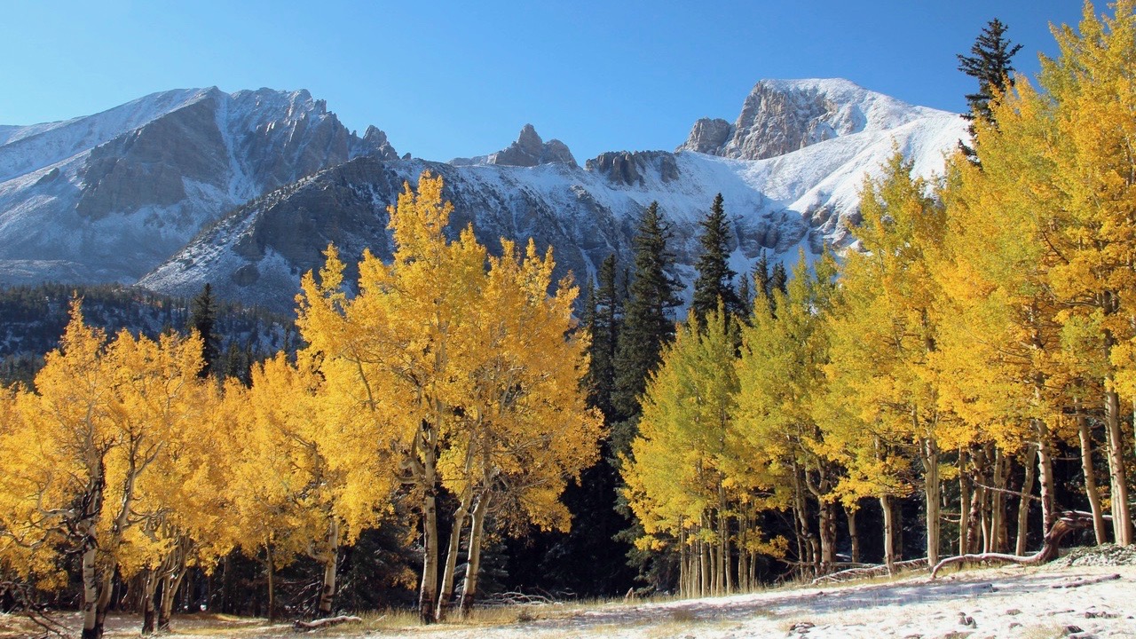 GBWN Gretchen Baker 3 fall and wheeler peak