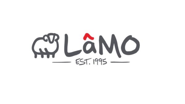 lamo new logo resized