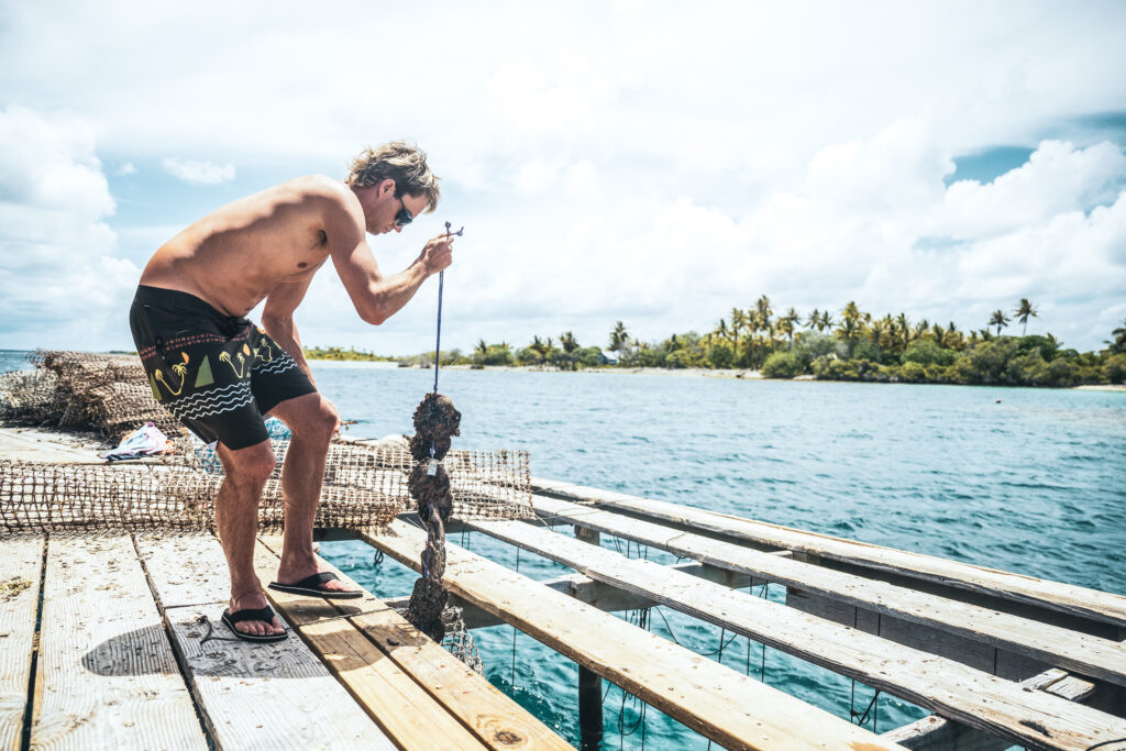 Passage primo boardshorts