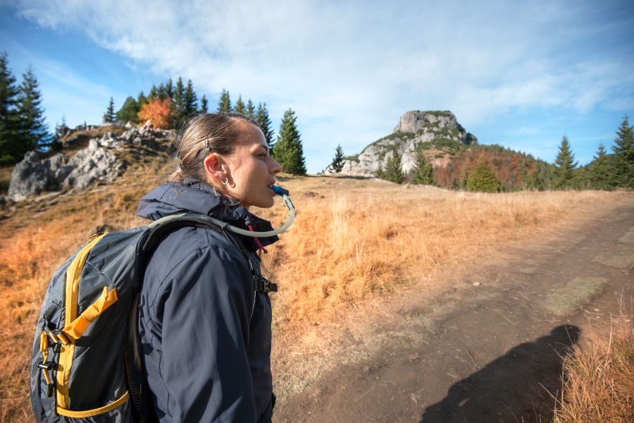 CamelBak Vista