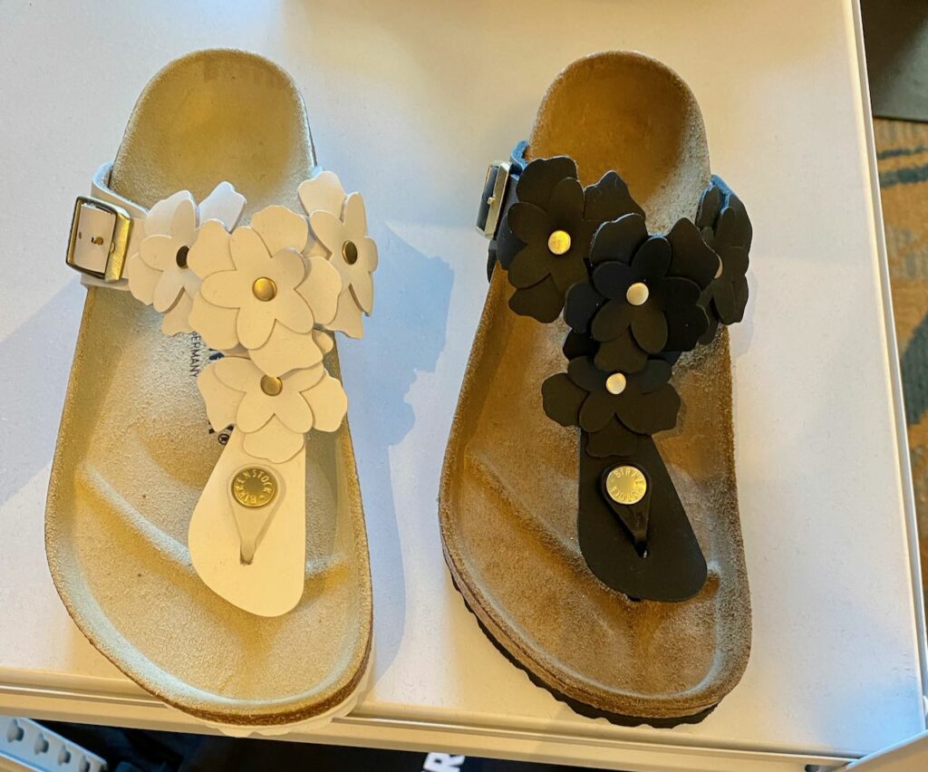 A newer Birkenstock style. Photo by SES.